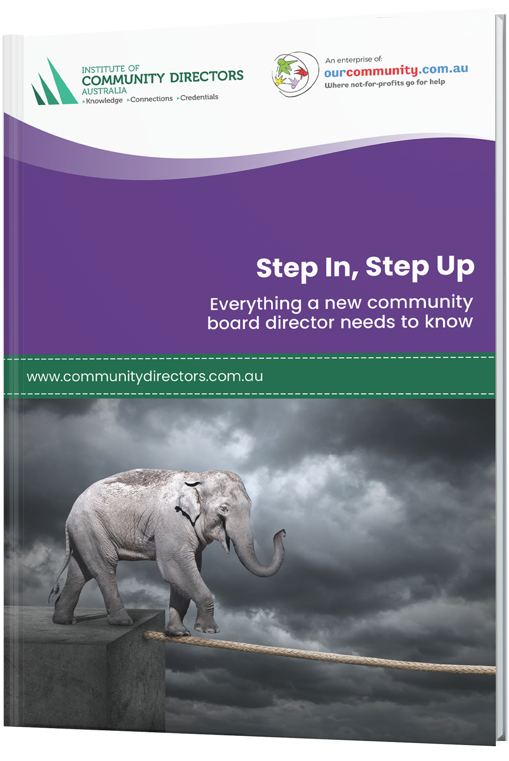 Step In, Step Up: Everything a new community board director needs to know