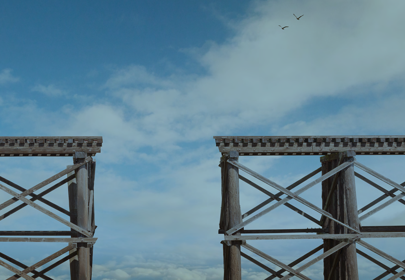 Radical Moderate Bridging the divide Understanding polarisation in Australia Article Image