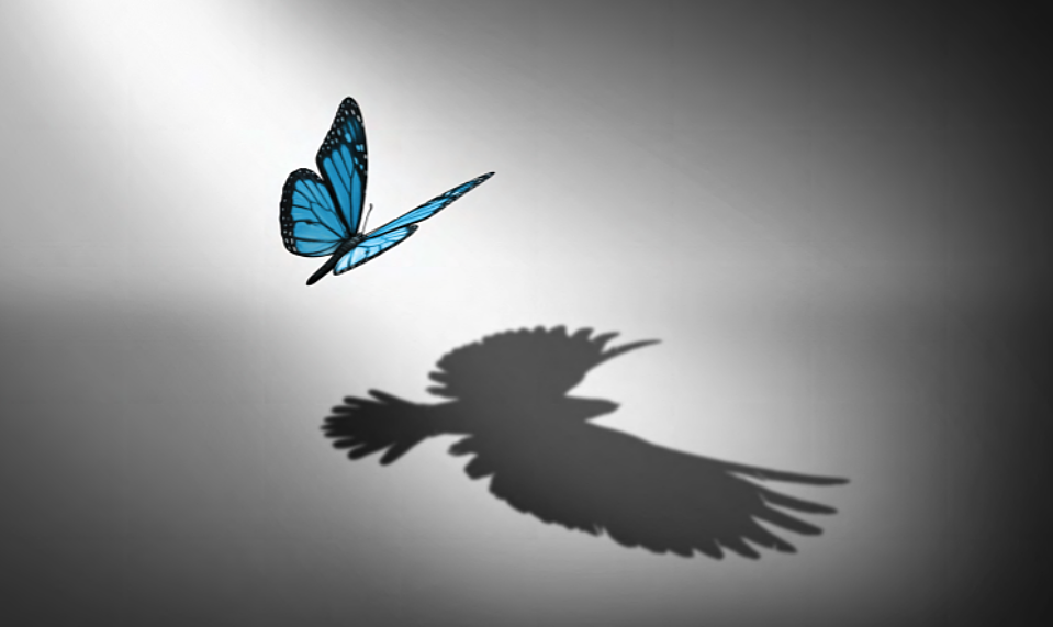 The Radical Moderate as Leader