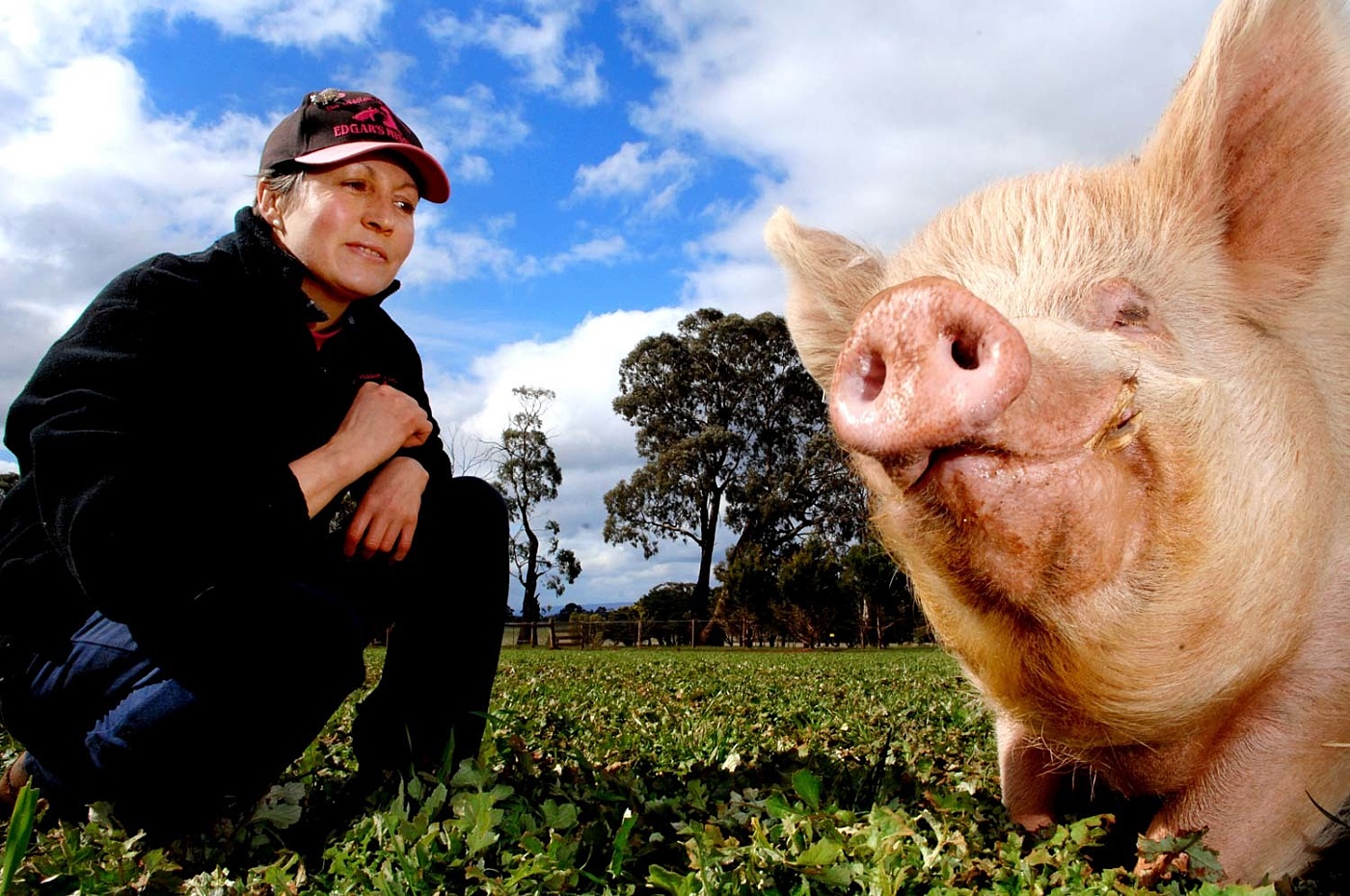 Edgar Alan Pig Edgars Mission 3