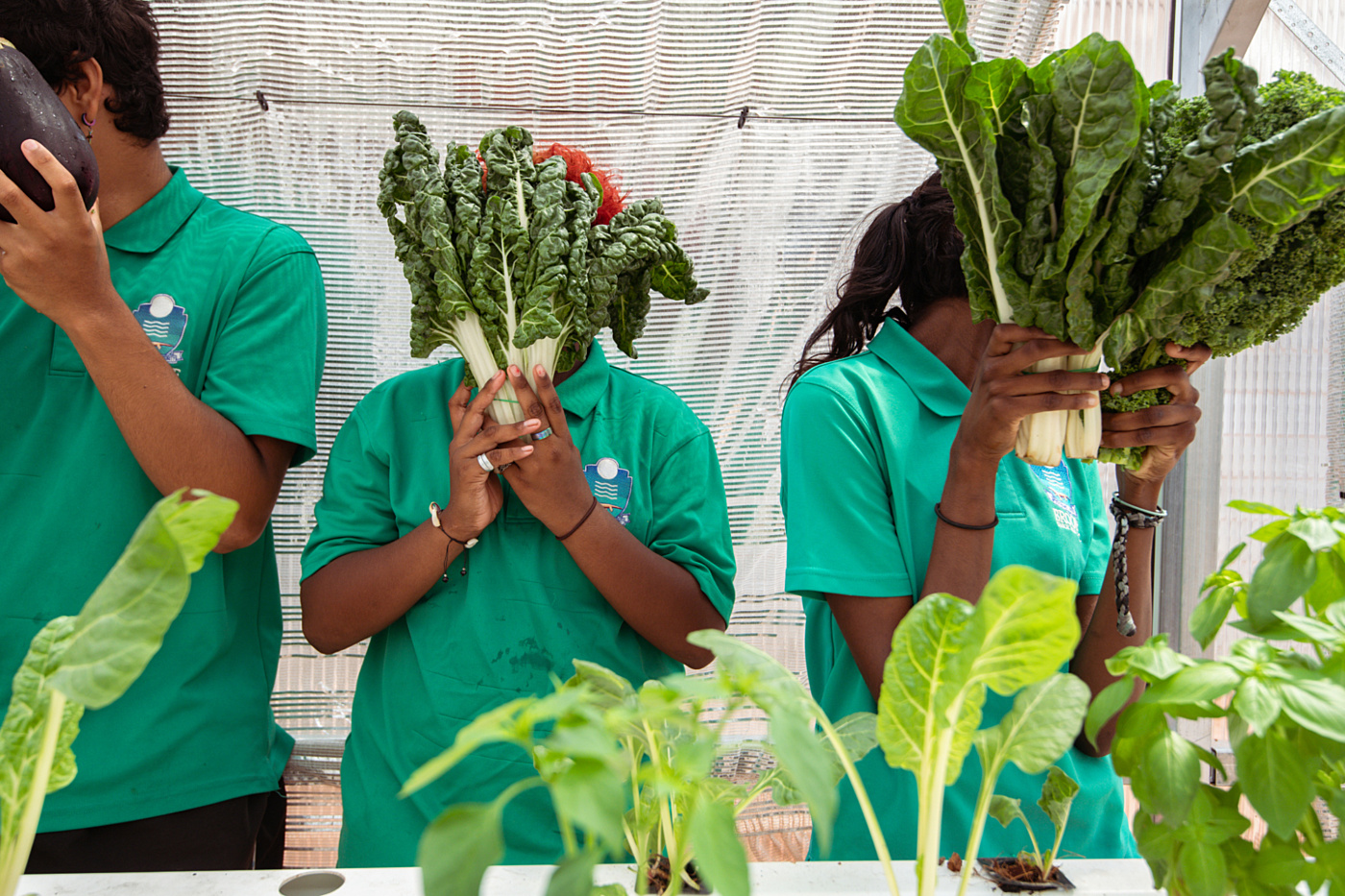 Food Ladder square funny cover