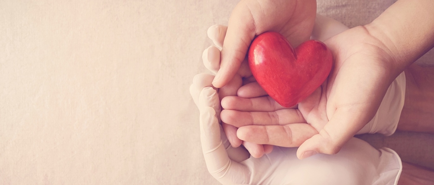 Organ donation transplant