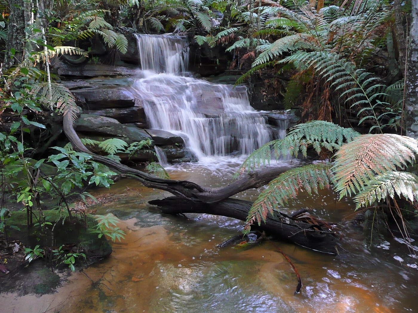 Katandra landing page p1030294