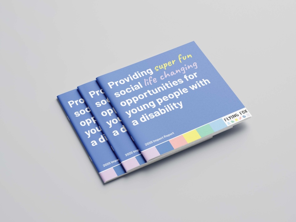 Flying Fox Impact Report