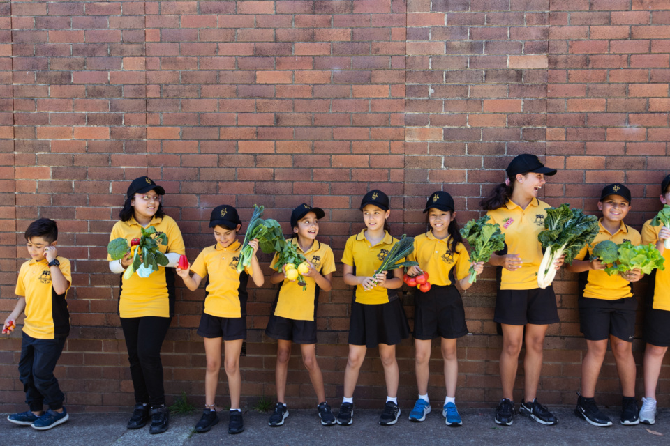 The algorithm has escaped! It’s in the greenhouse!