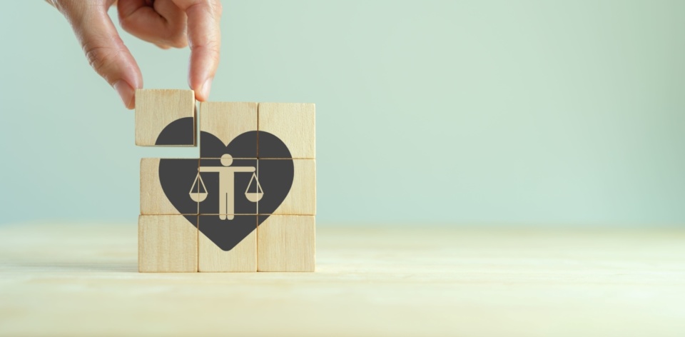 Push for human rights to be enshrined in law receives widespread support