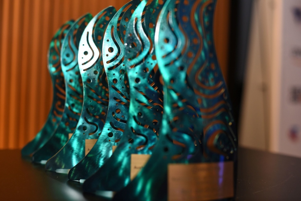 Sector shines in technology awards