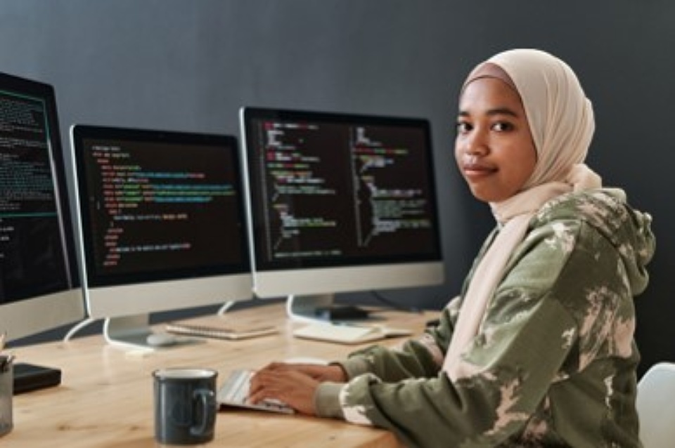 Migrants key to solving IT skills crisis