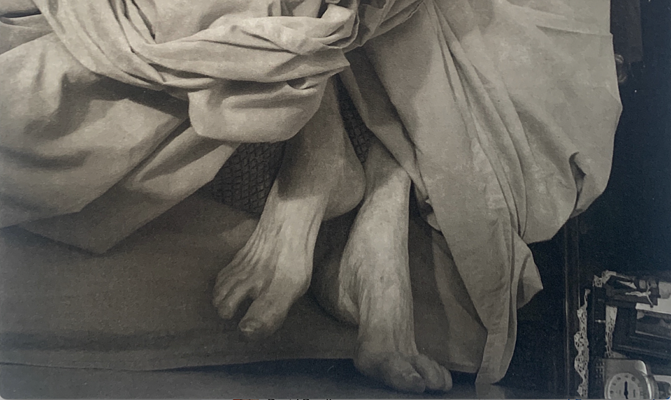 Live well, die well: art prize celebrates the journey between life and death