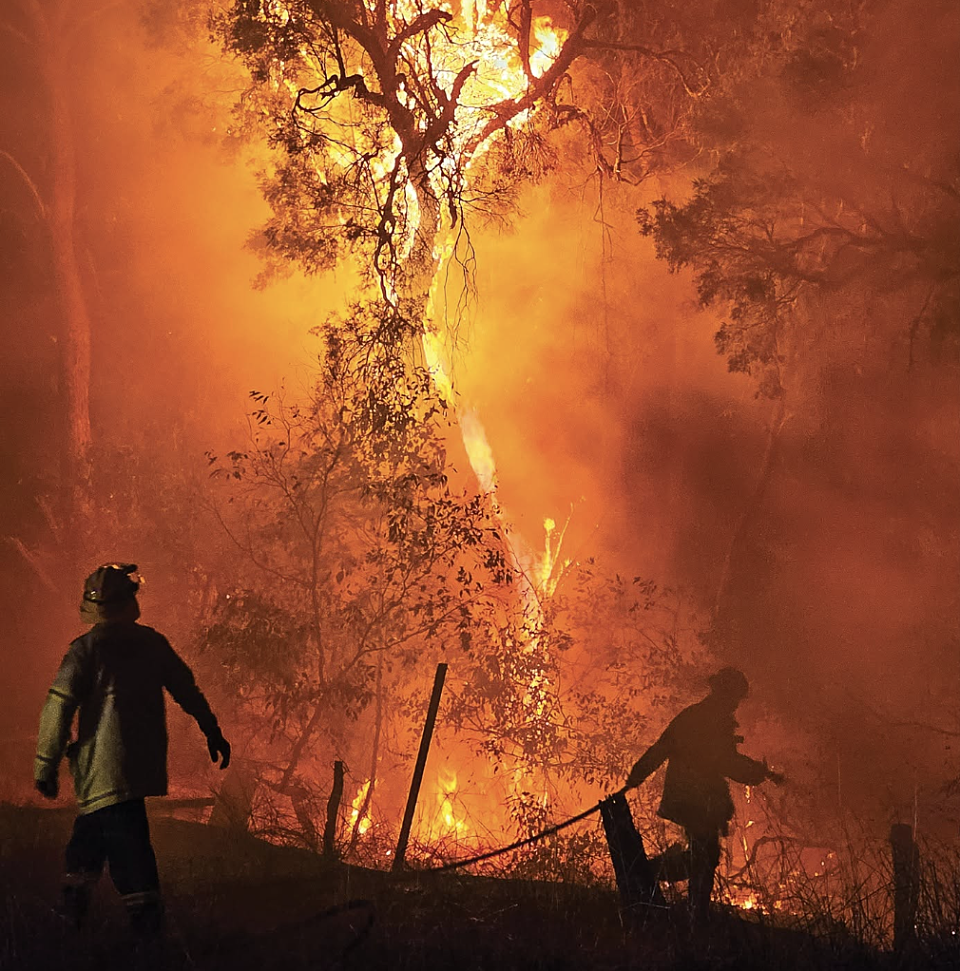 Vote now: Celebrating resilience through a camera lens