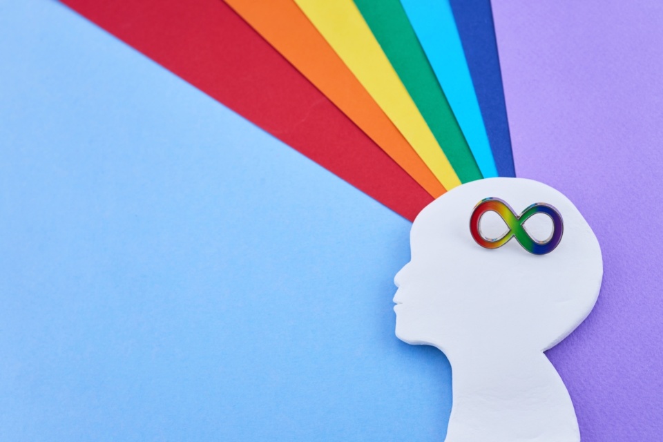 Defining ‘intelligence’ and ‘disability’ is like chasing smoke with a net