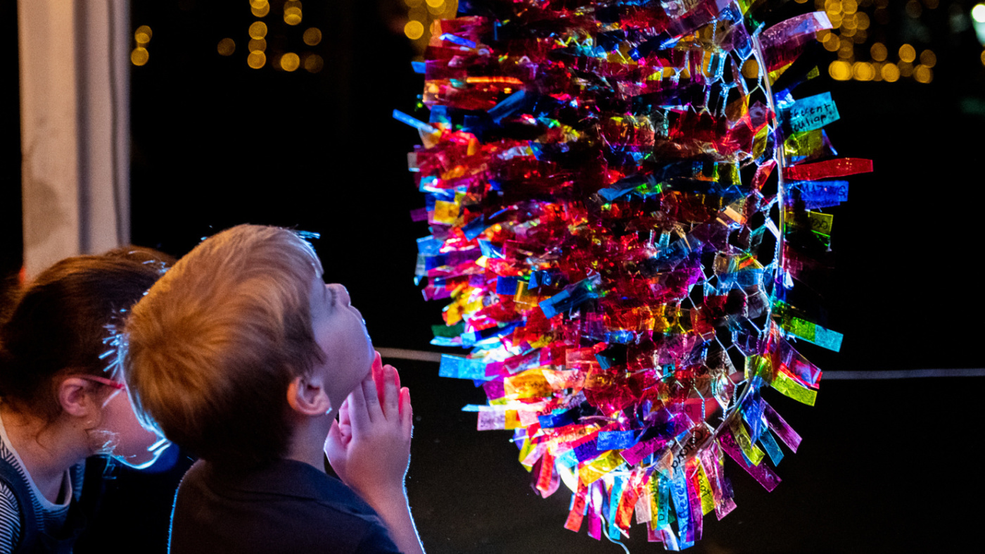 20201029 191511 untitled DSC 7386