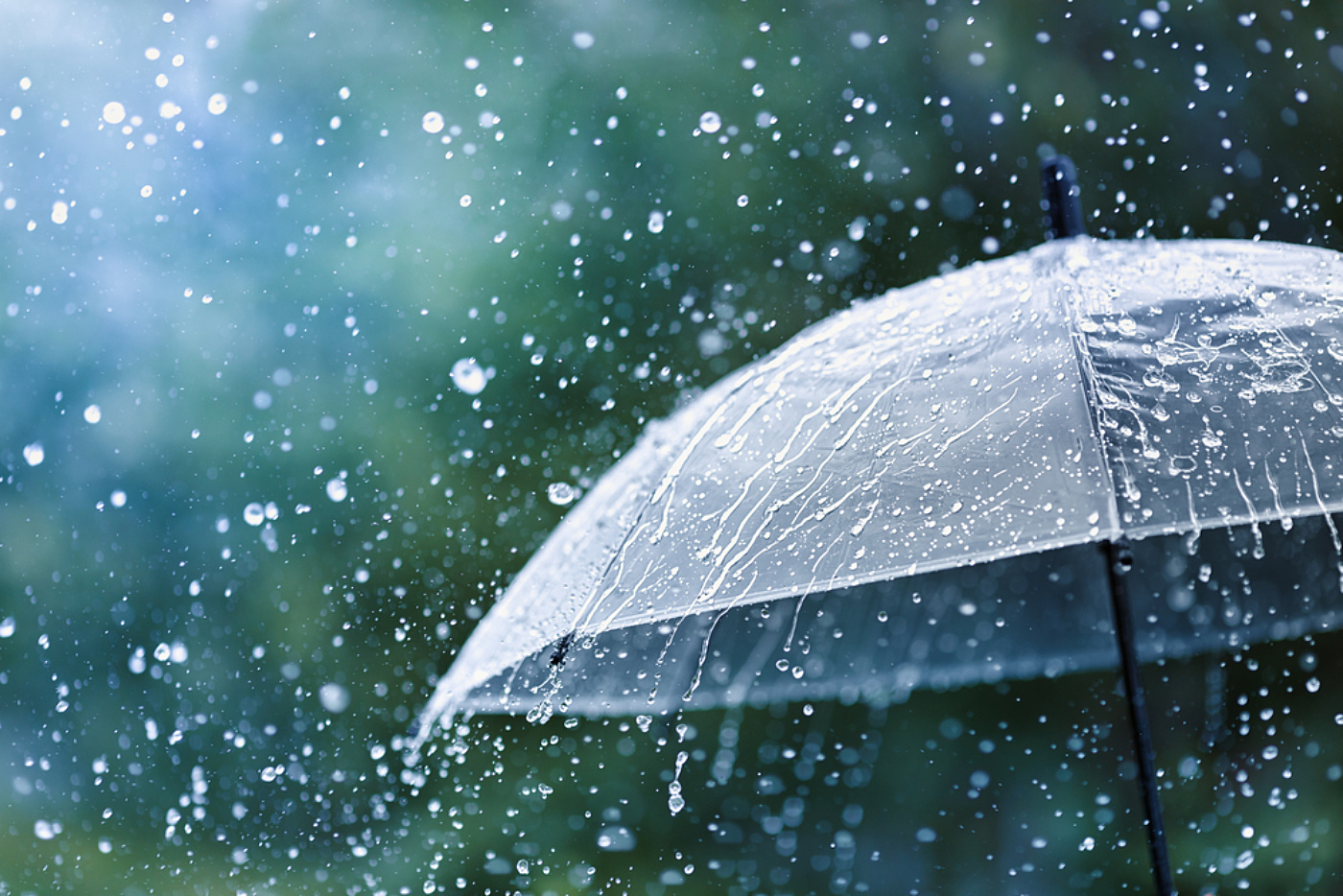 Umbrella Rain shutterstock 1782656951