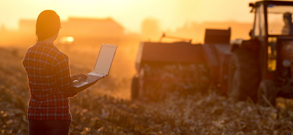 Foundation seeks growth to help more country folk