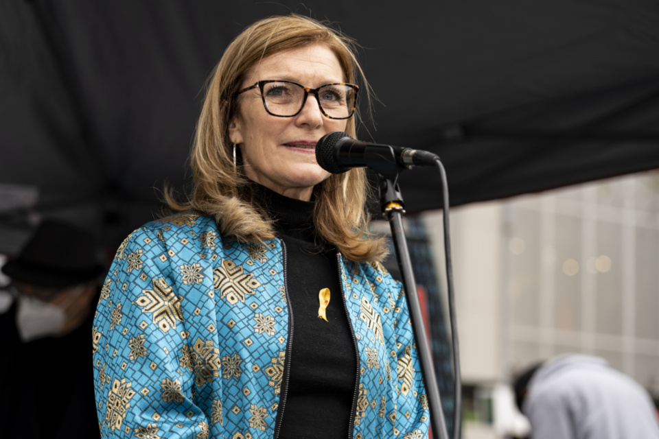 Peace Day Rally Truth Not War Free Julian Assange 52368527280