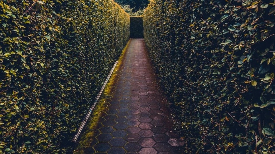 Navigating JobKeeper a painful maze for charities