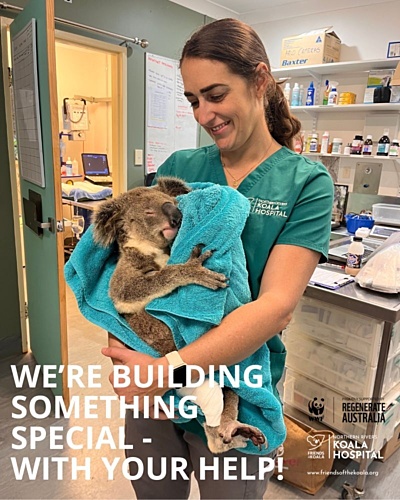 Friends of the Koala