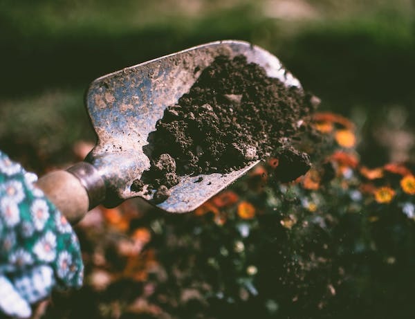 Shovel