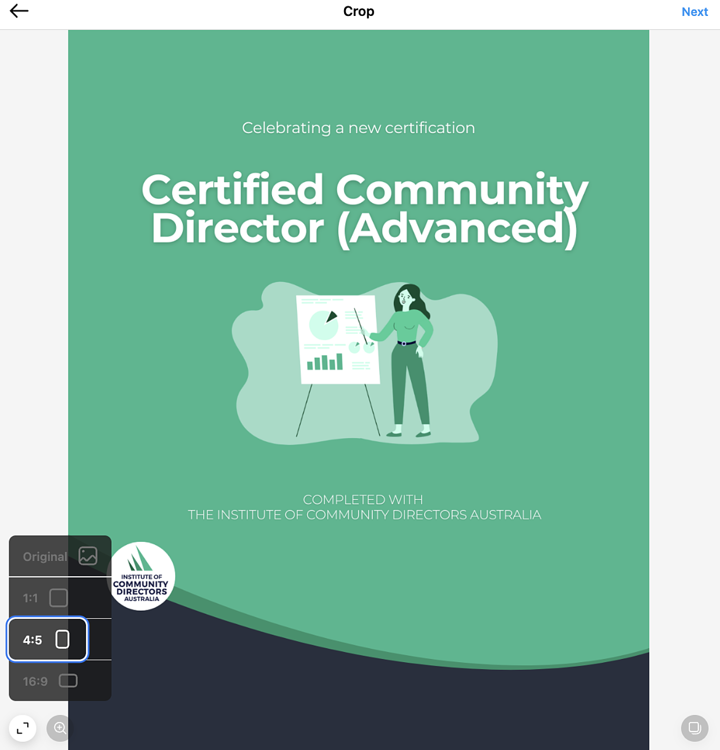 Format your Instagram post with our provided graphic
