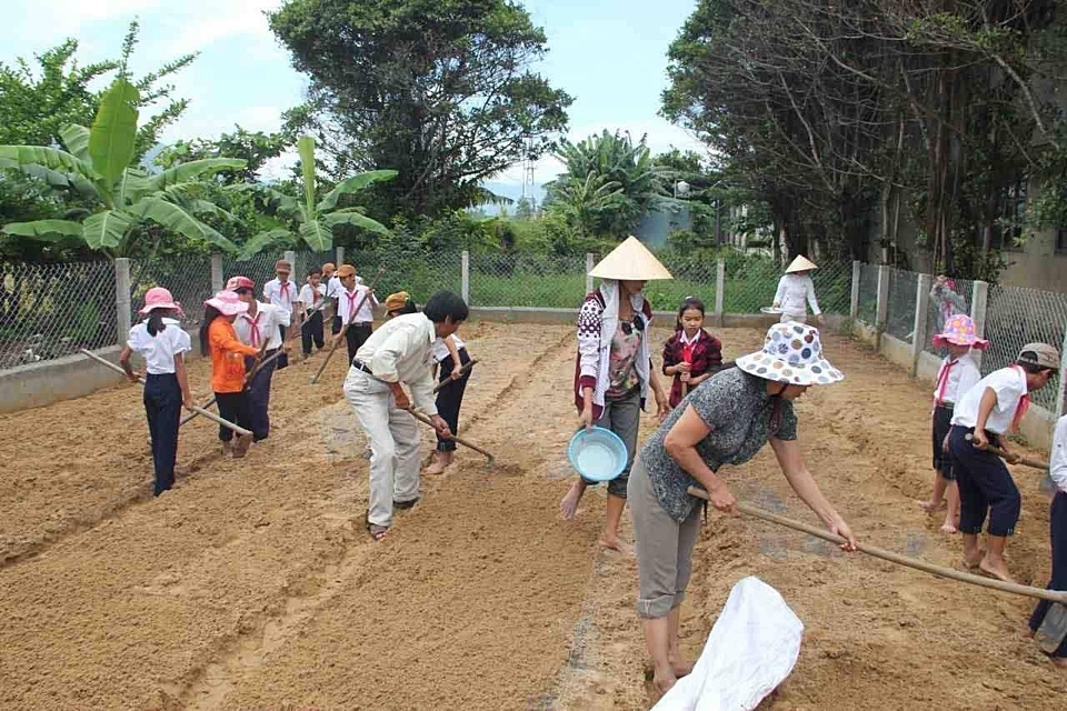 Food Plant Solutions