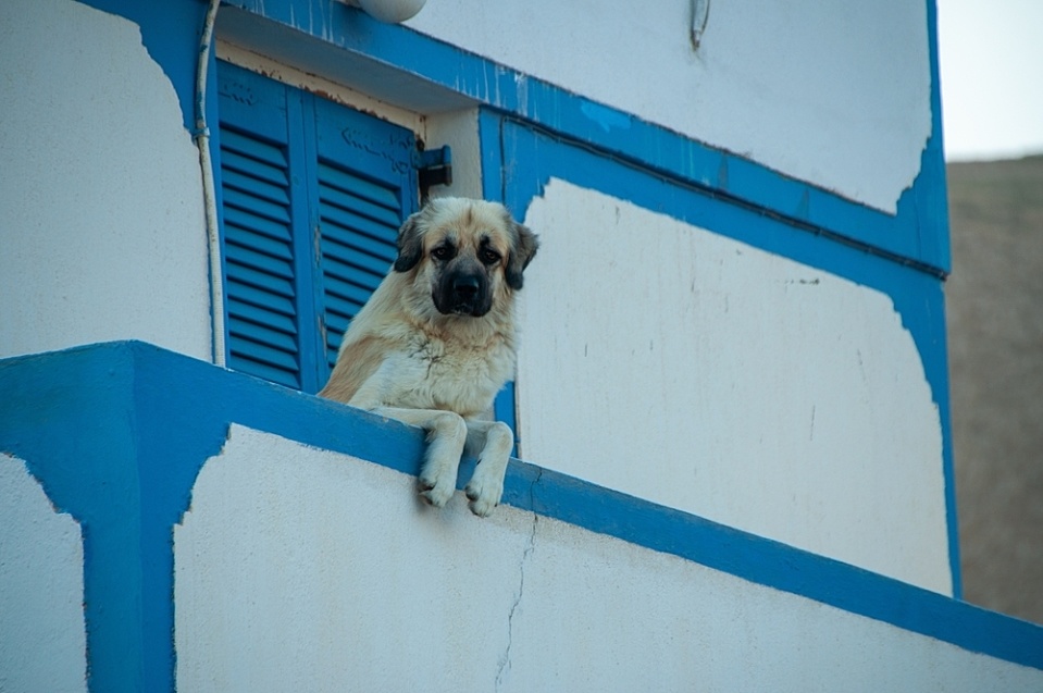 The best leaders take a strategic view from the balcony