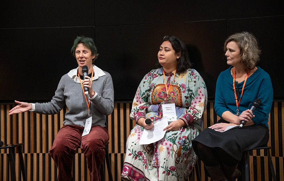 A view from inside the fishbowl of grant evaluation