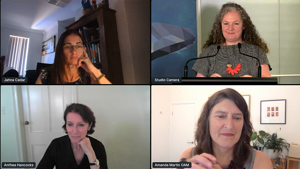 Three Big Issues Martin Hancocks Cedar2