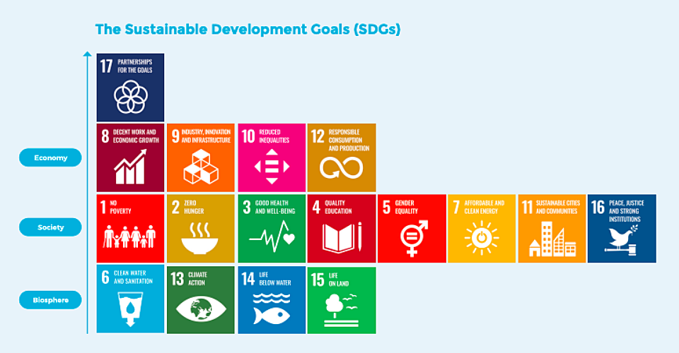SD Gs grouped by category