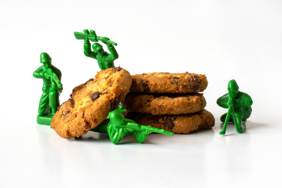 Shutterstock military chicken