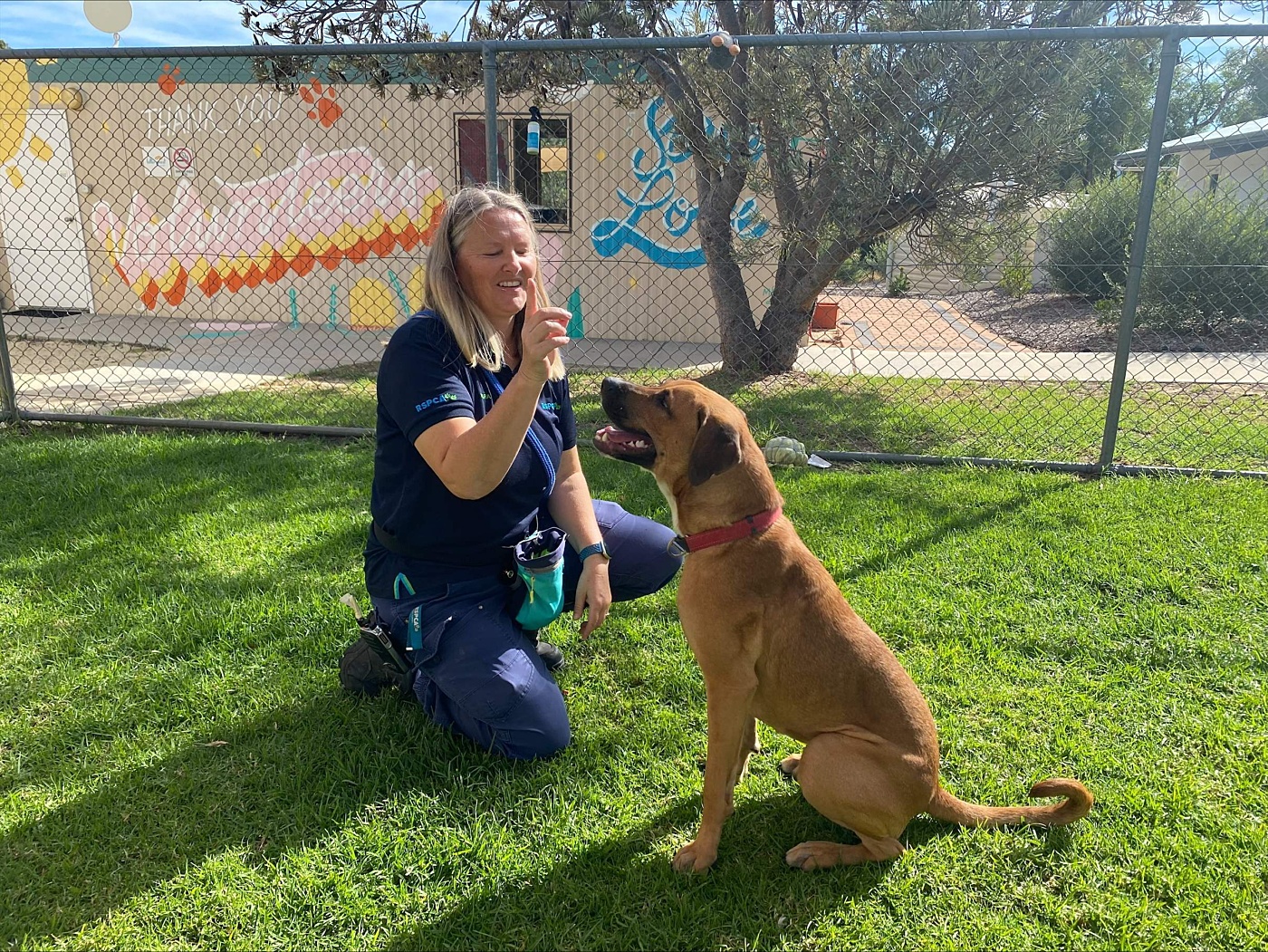 Behaviour Trainer Sara training Taco resized