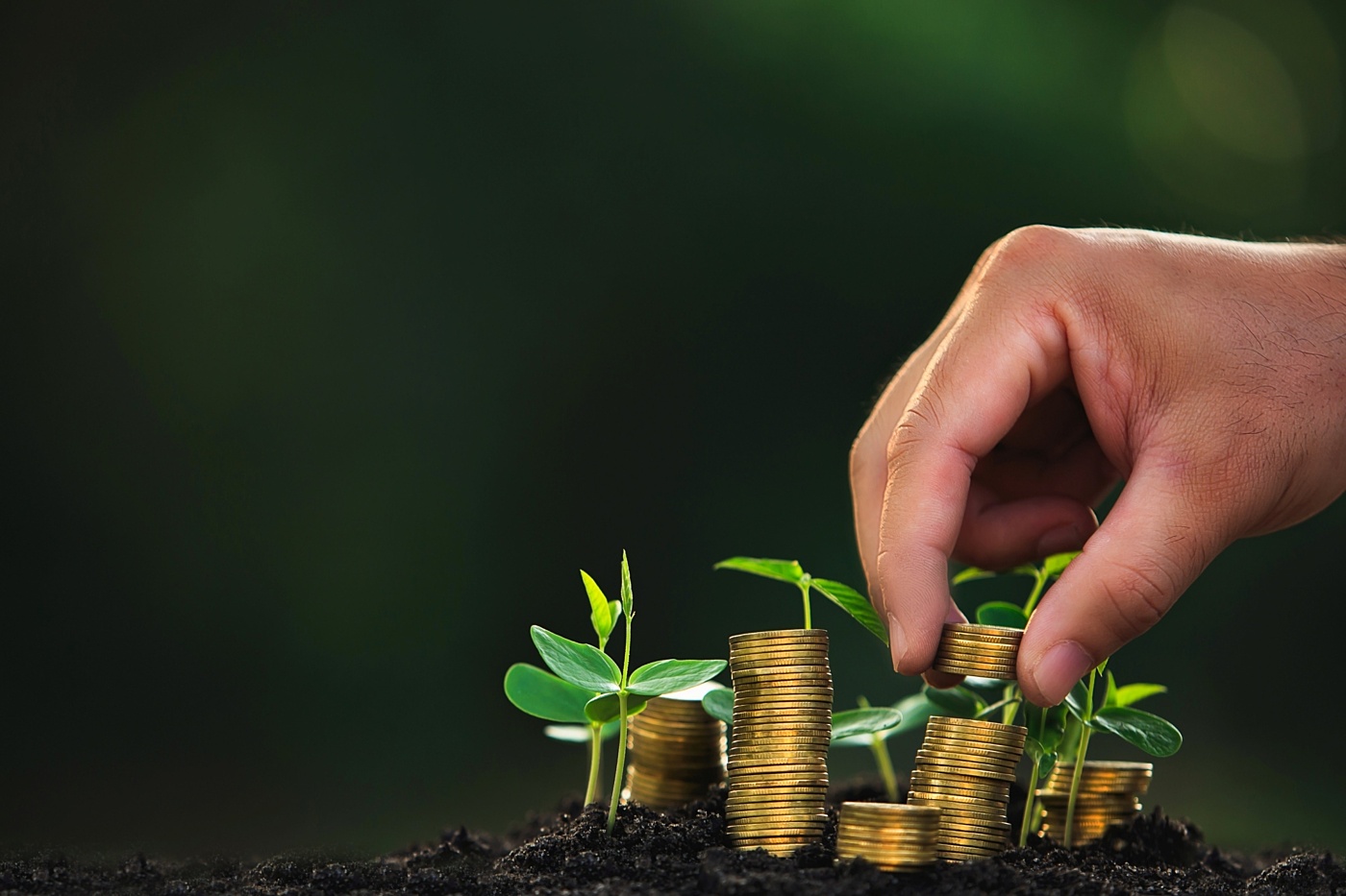 Philanthropy environment