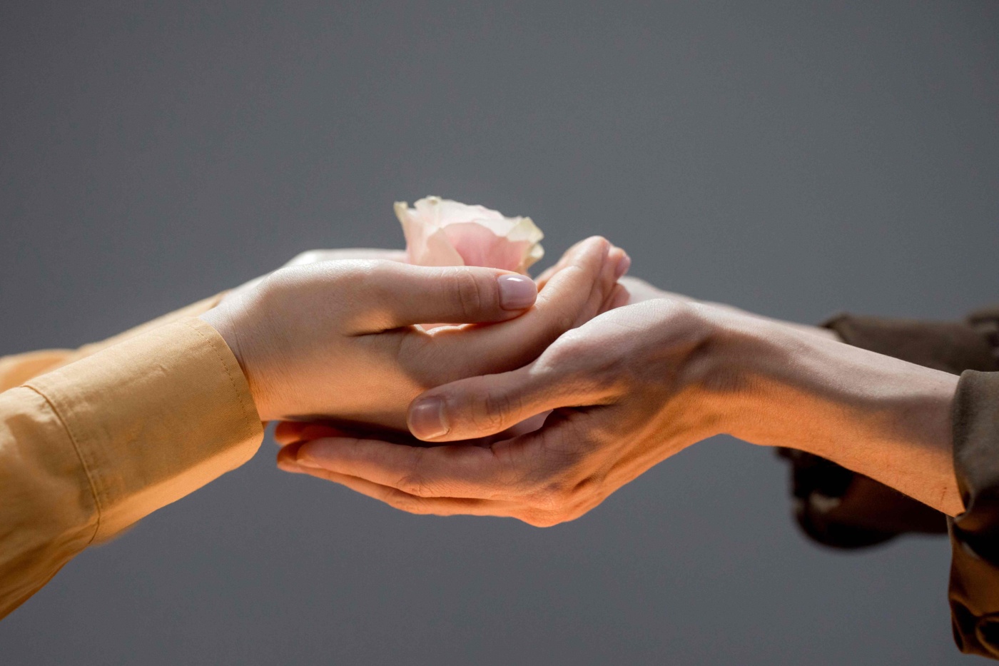 Philanthropy giving
