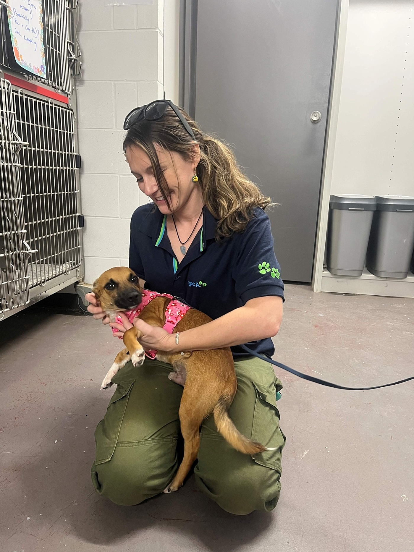 RSPCA NT