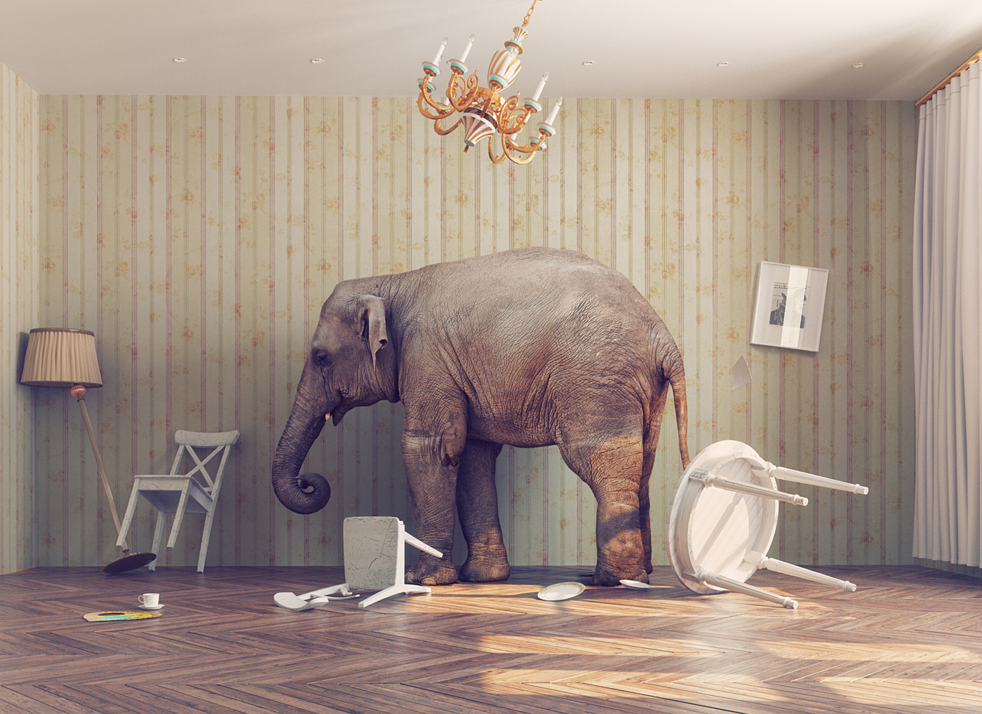 Shutterstock elephant in the room