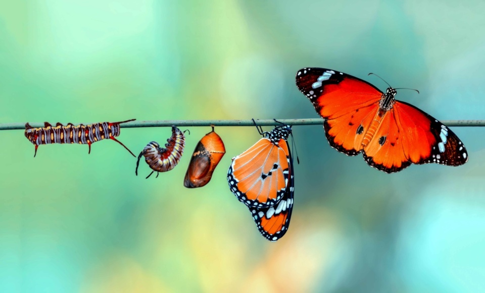 How change happens (and why your theory of change is probably wrong)