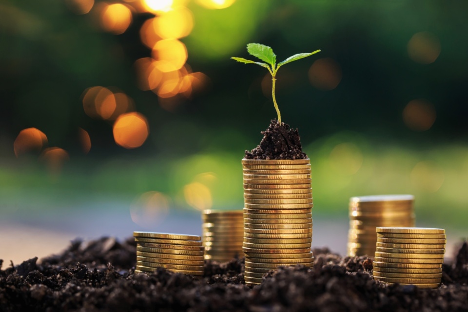Profit’s not a dirty word for not-for-profits