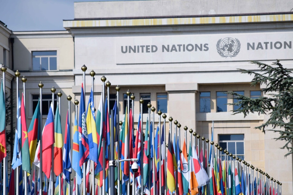 UN flags