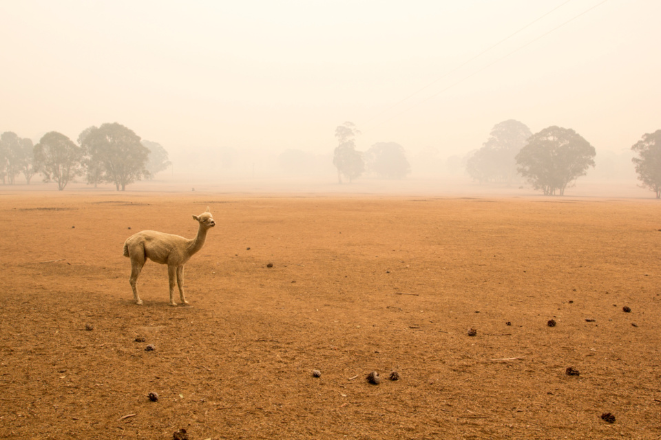 New grants look to build community readiness for big droughts to come