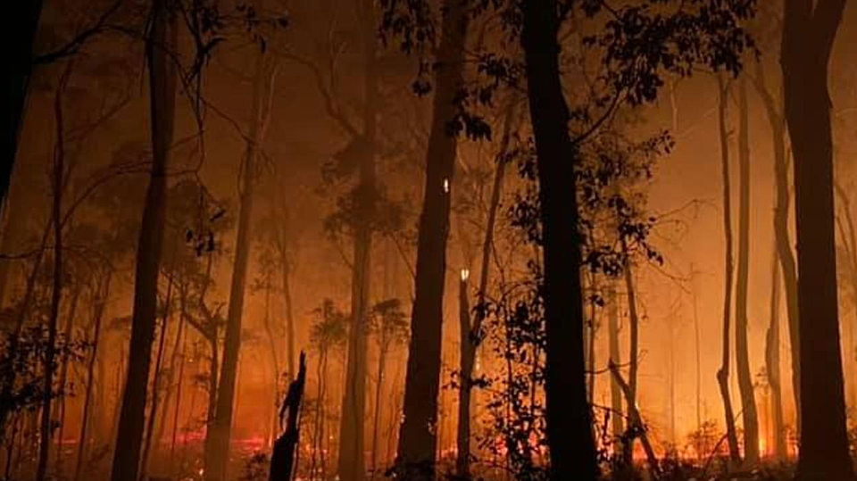 Vic Bushfires DEWLP Forest Fire Mgt Vic FB n