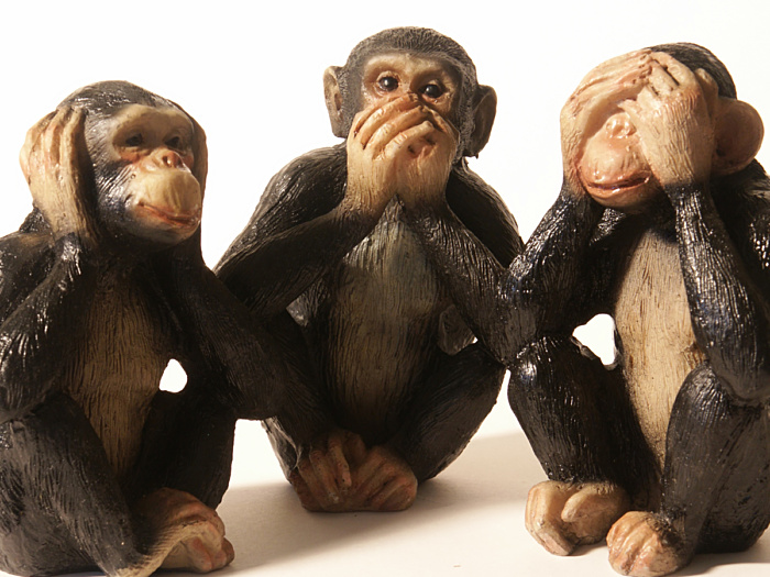 Monkeys