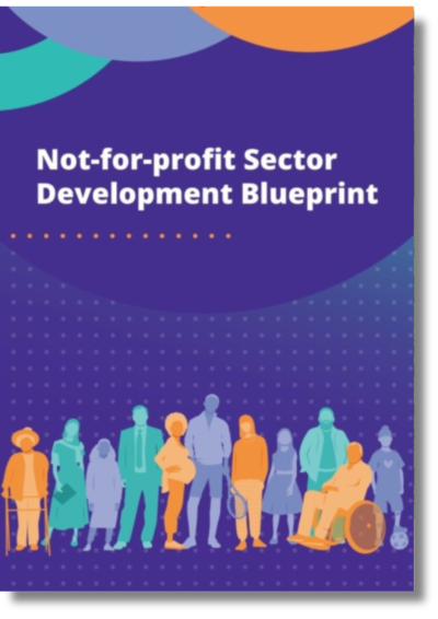 NFP Sector Dev Blueprint