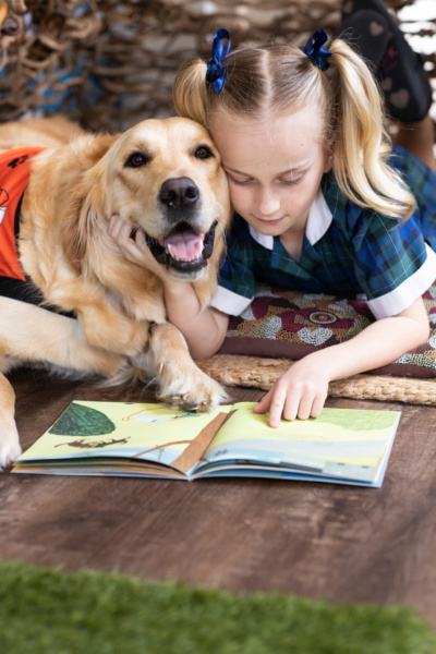 Story Dogs