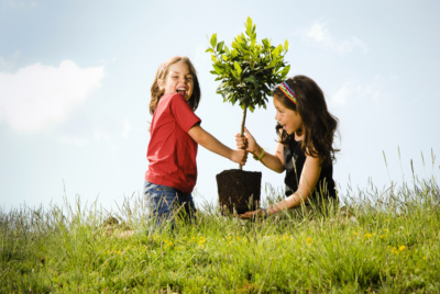 Planting