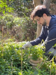 Gardening