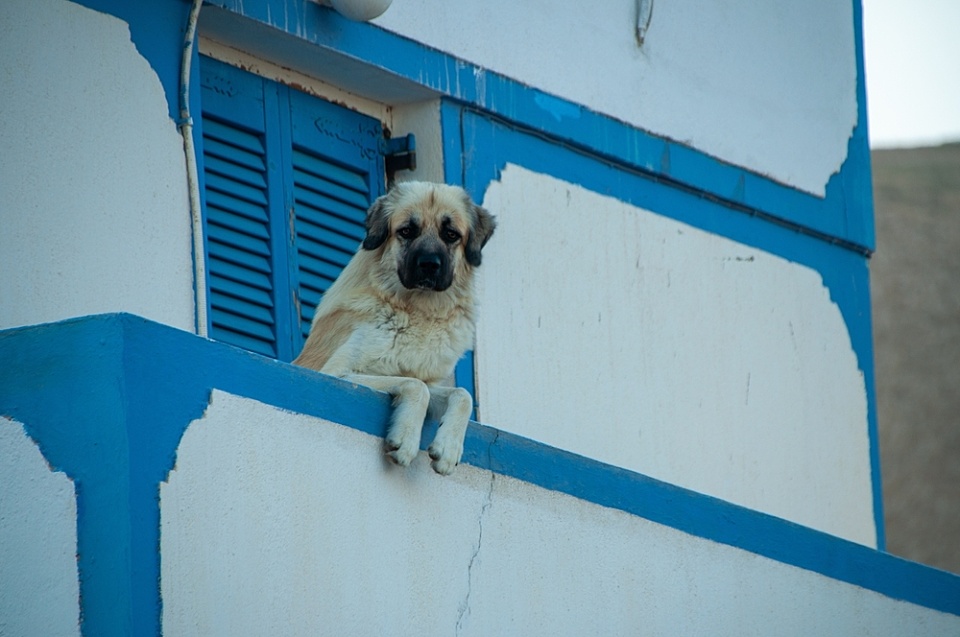The best leaders take a strategic view from the balcony