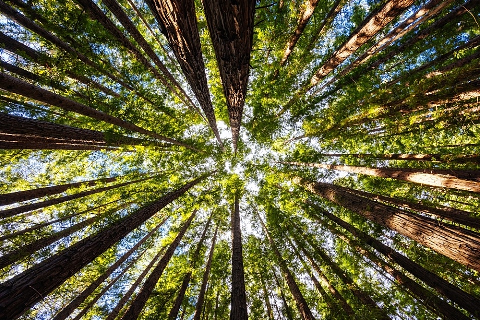 Green funders add $300m to the cause, but it’s nowhere near enough