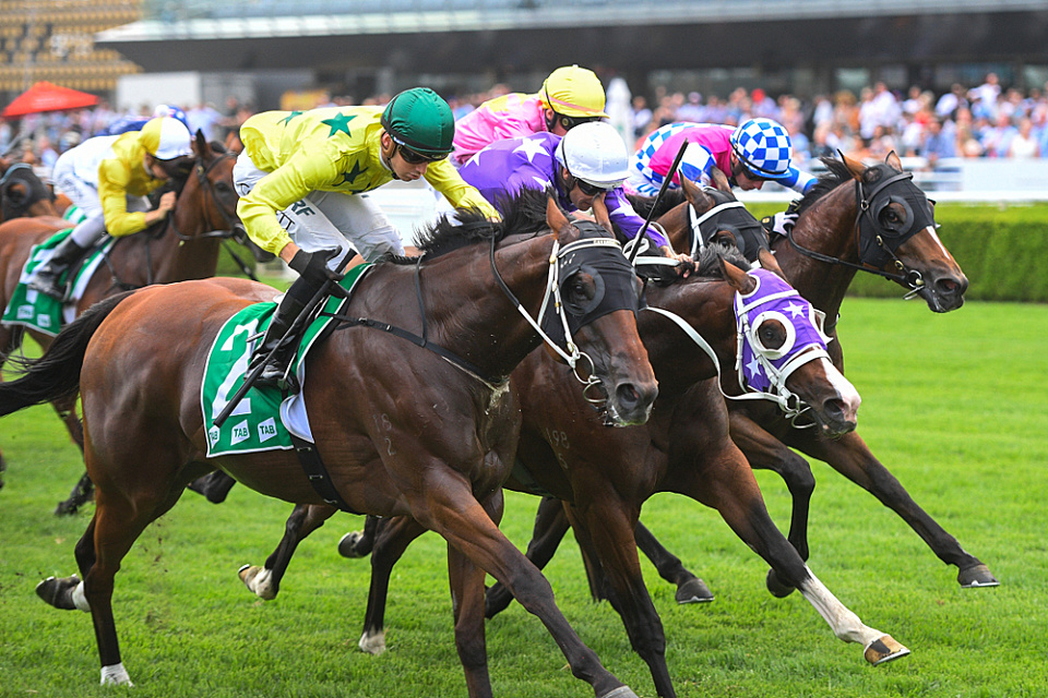 NSW racing grants program 'not effective', audit finds