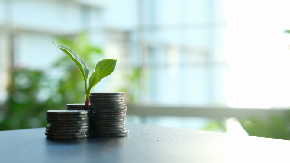 Six tips for winning grants