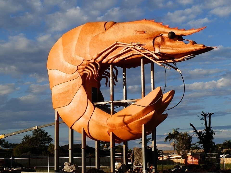 Giant prawn